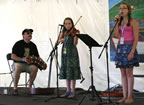 IMG_5869.jpg (94kb)