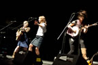 nlfolkfest0807_D315574.jpg (74kb)