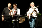nlfolkfest0807_D316922.jpg (88kb)
